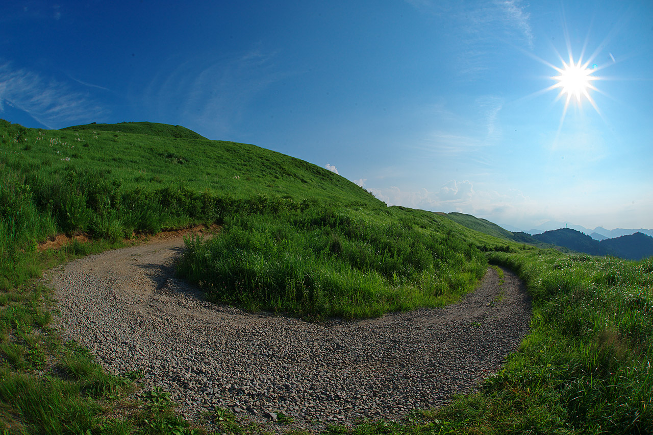 d0146295_071813.jpg