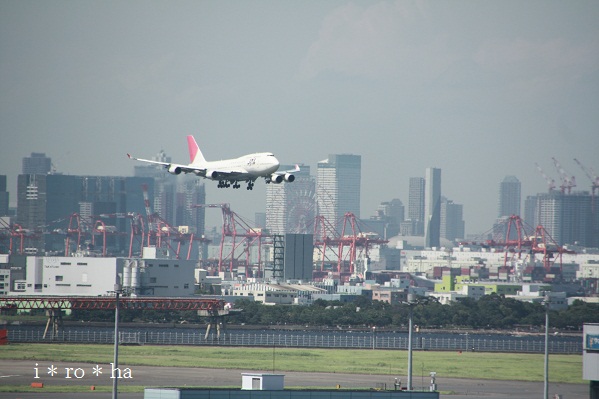 a0152596_043316.jpg