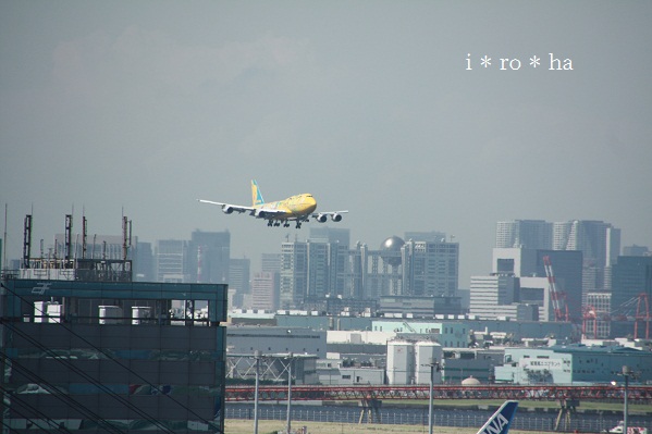 a0152596_0461295.jpg