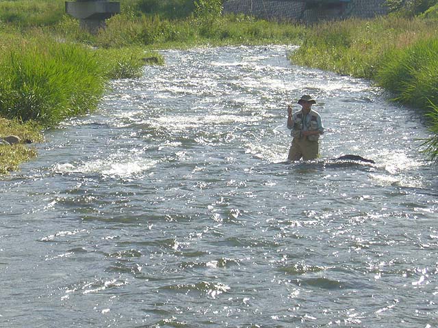 b0034897_21334088.jpg
