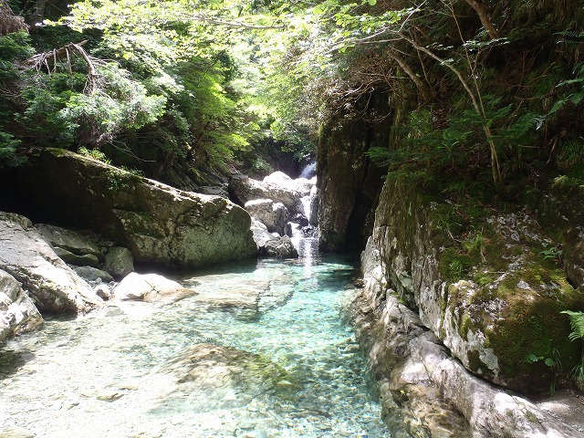 c0147398_016201.jpg