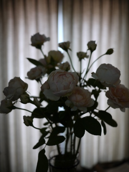 e0163202_218213.jpg