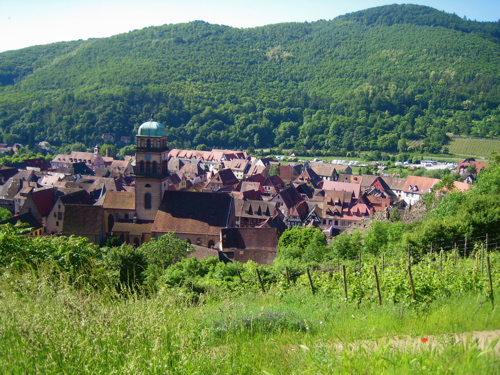 d0135907_919018.jpg