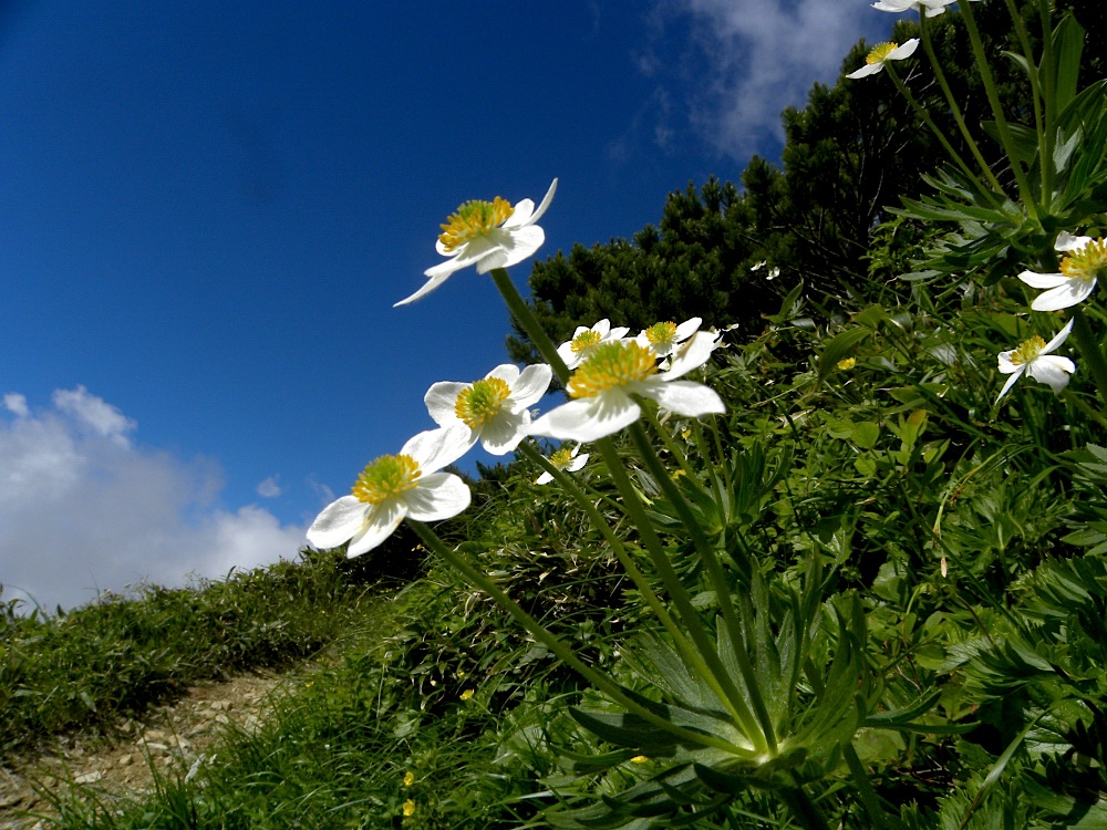 c0078410_8124643.jpg