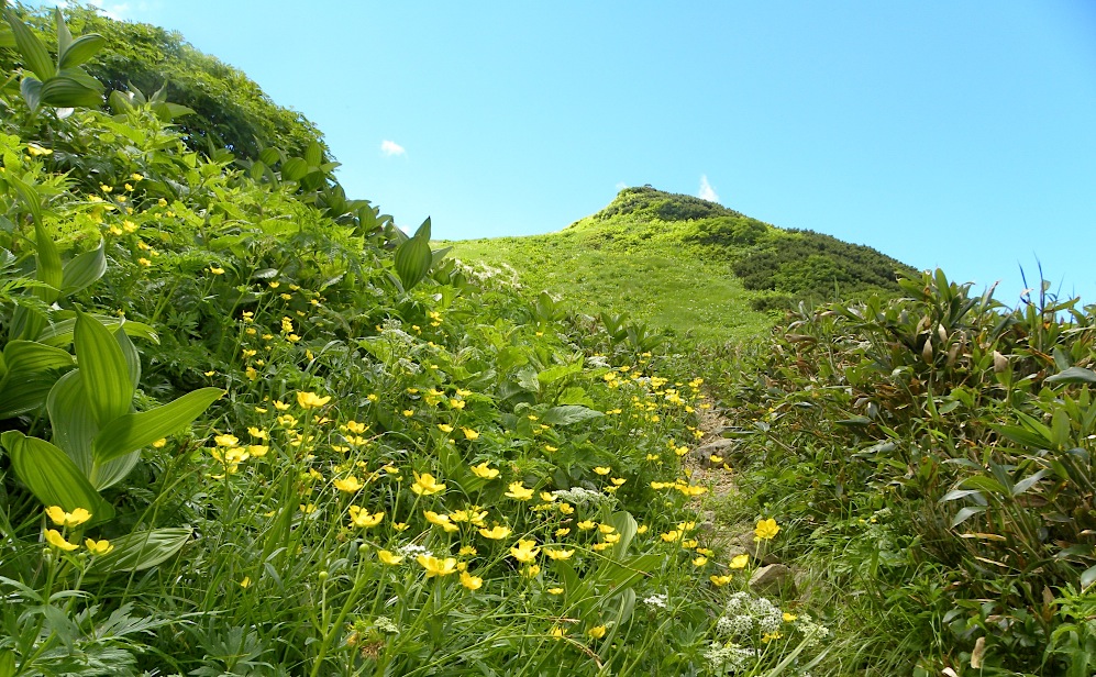 c0078410_816313.jpg