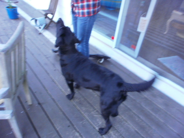c0116610_03084.jpg