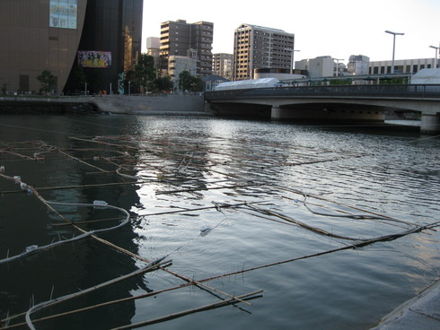 a0125419_9195643.jpg