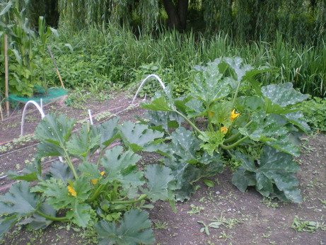 c0124619_453266.jpg