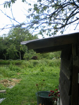 c0124619_457279.jpg