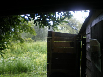 c0124619_4574820.jpg