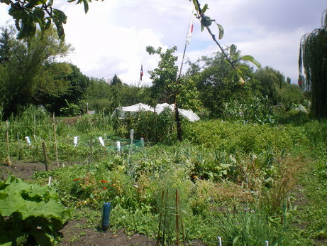 c0124619_4593657.jpg
