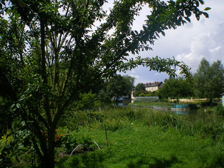 c0124619_50279.jpg