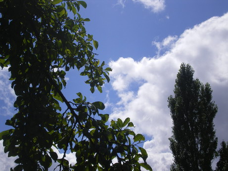 c0124619_512595.jpg