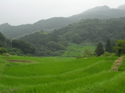 e0092221_13203377.jpg
