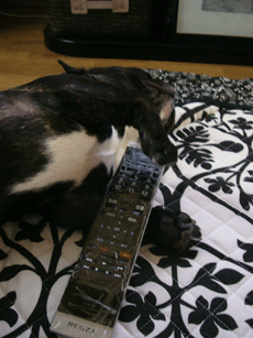 f0232522_21401722.gif