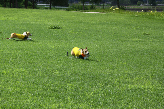 e0071225_23314058.jpg