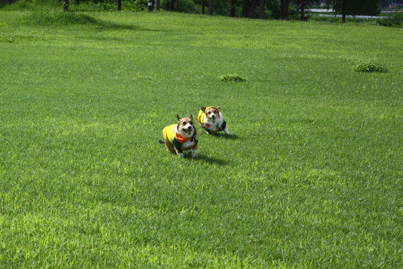 e0071225_23324517.jpg
