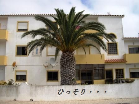 2010年夏♪ ポルトガルへ行こう♪(2)_d0104926_22223394.jpg