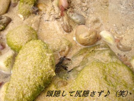2010年夏♪ ポルトガルへ行こう♪(2)_d0104926_22255713.jpg