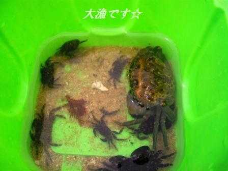 2010年夏♪ ポルトガルへ行こう♪(2)_d0104926_22264299.jpg