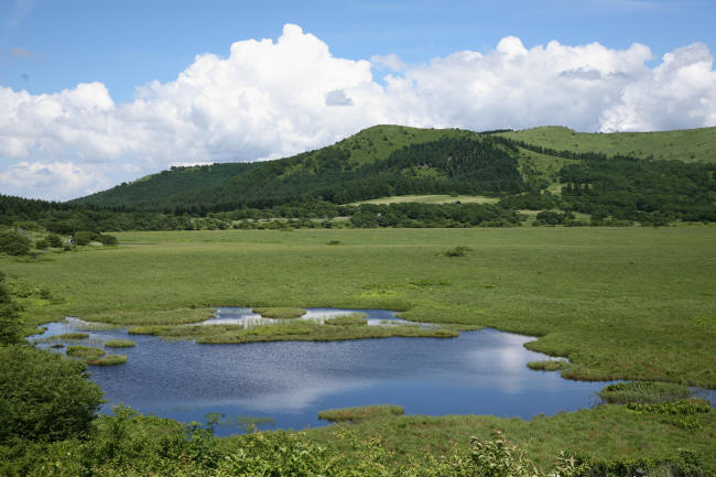 f0017530_19372273.jpg