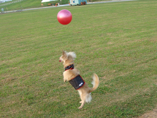 c0117831_2227299.jpg