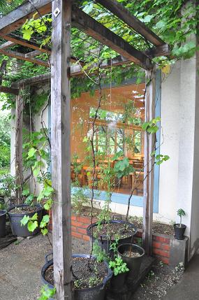 b0110035_2332535.jpg