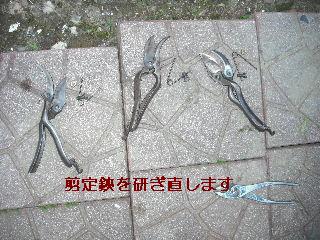半日と半日_f0031037_18271085.jpg