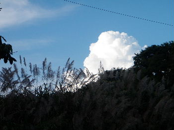 a0054240_2055864.jpg