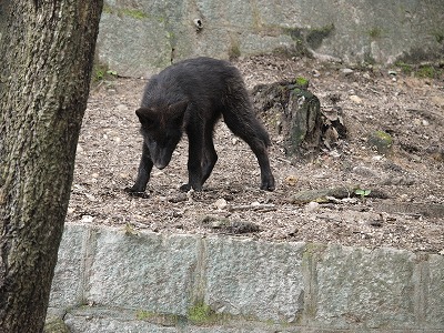 c0191646_03383.jpg