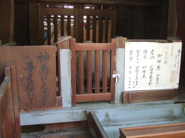 e0046748_16362390.jpg