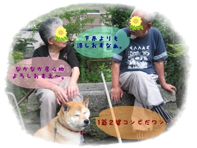 半年が絶ち、そして、、、_c0049950_1395345.jpg