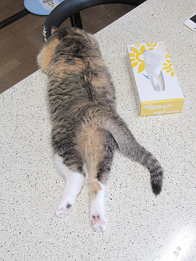のぞき込む。。。_a0028451_216875.jpg