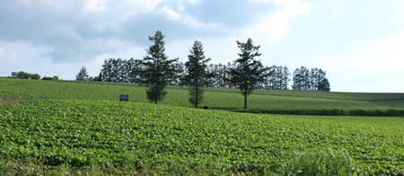 北の大地・神秘の泉_a0048852_9375990.jpg