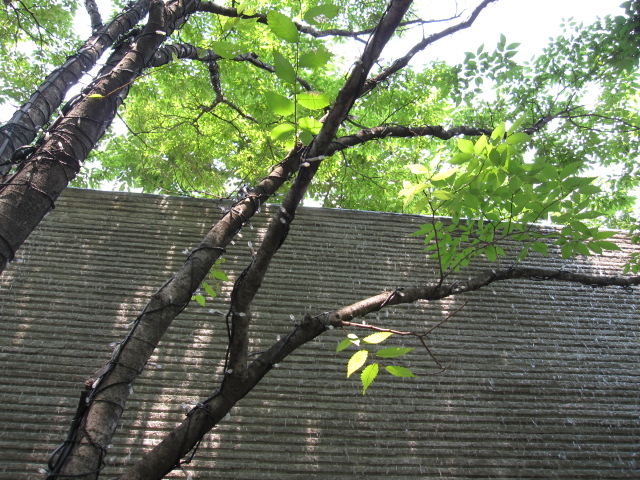 c0220154_22571410.jpg