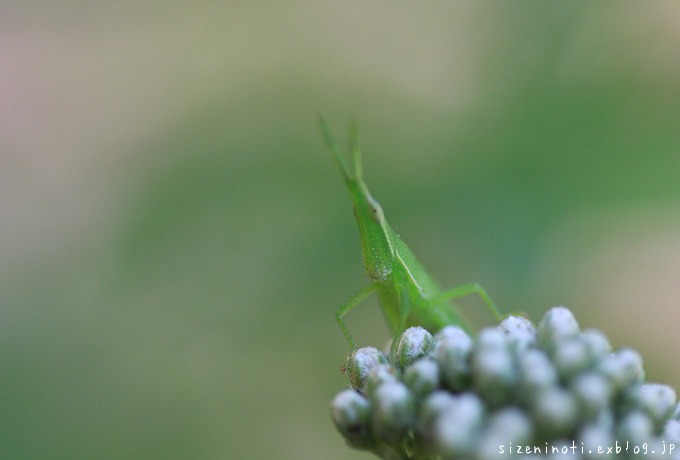 f0147858_18274172.jpg