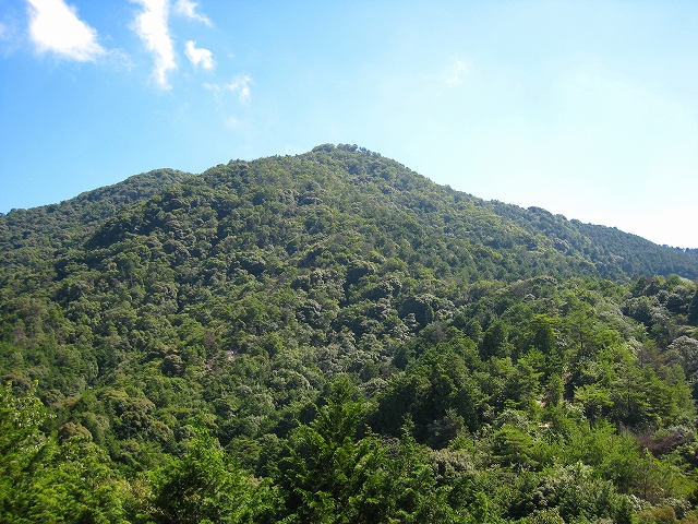 岩石山　がんじゃくさん454ｍ　7/20_f0156960_1501479.jpg