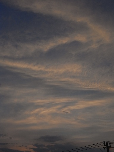f0205860_10594471.jpg