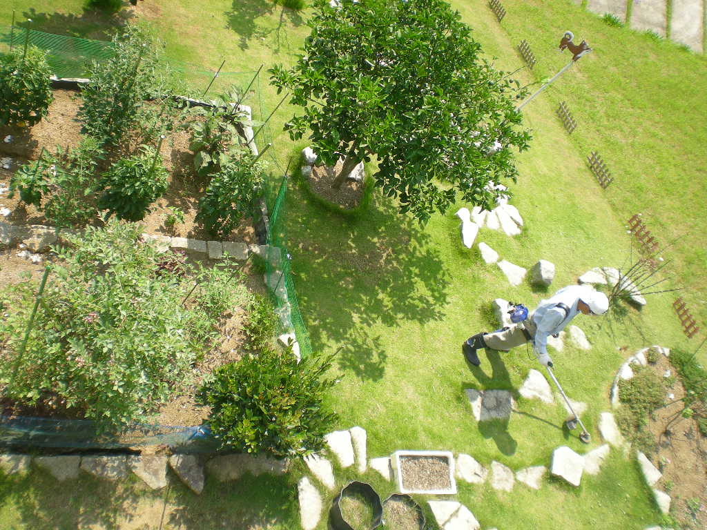 2010年7月24日(土)今日も猛暑!_f0060461_9543434.jpg