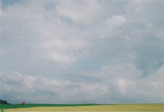 a0127070_043874.jpg