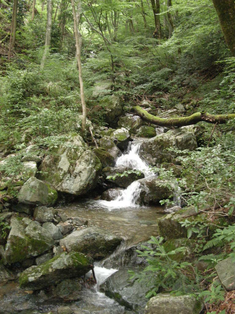 b0185573_52008.jpg