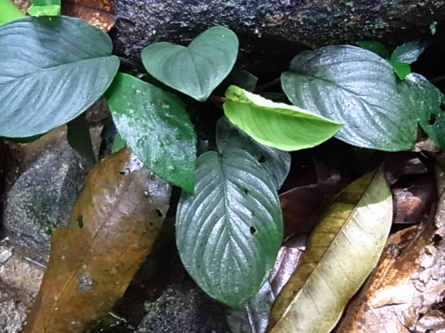 a0067578_12147.jpg