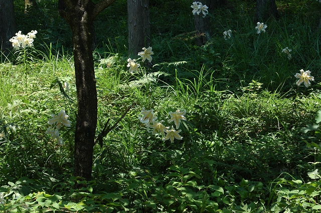 c0212083_2213294.jpg