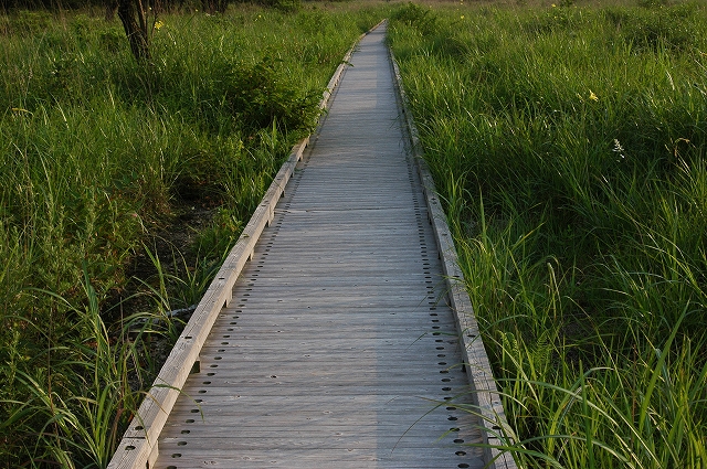 c0212083_22262523.jpg