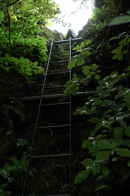 c0212083_22421984.jpg