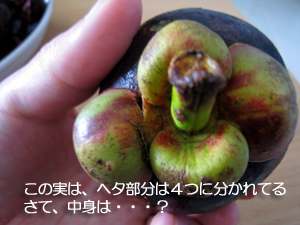 果物の女王様といえば!_f0144385_17131816.jpg