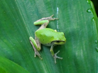 e0137390_224620.jpg