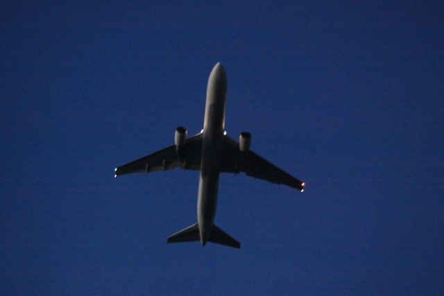 b0138798_173688.jpg