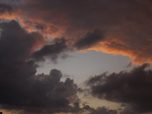 c0090198_9304771.jpg