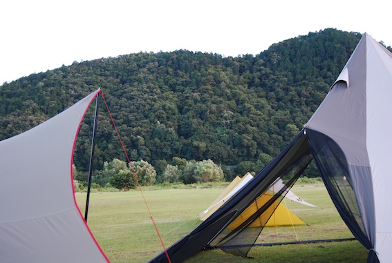f0210098_75888.jpg